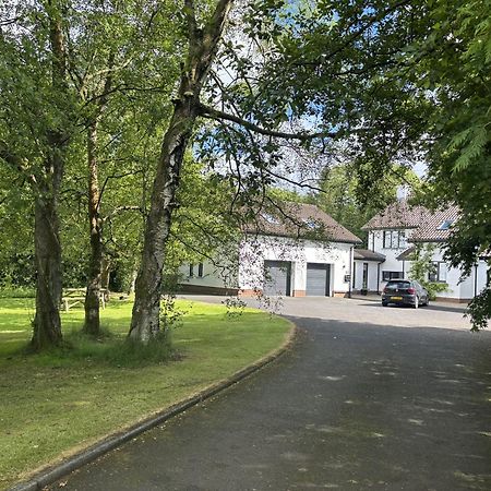 Treetops Coleraine Bagian luar foto